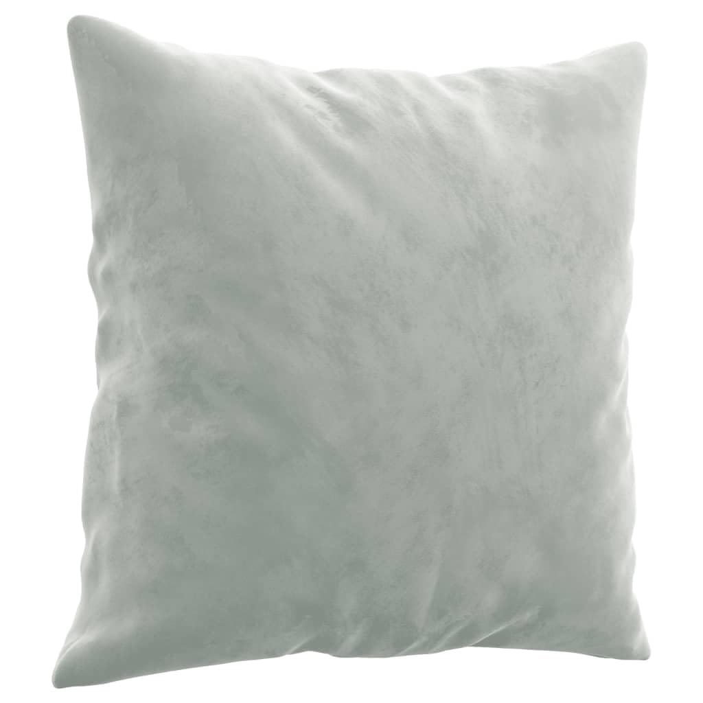 Light Gray Velvet 2 Piece Sofa Set H708