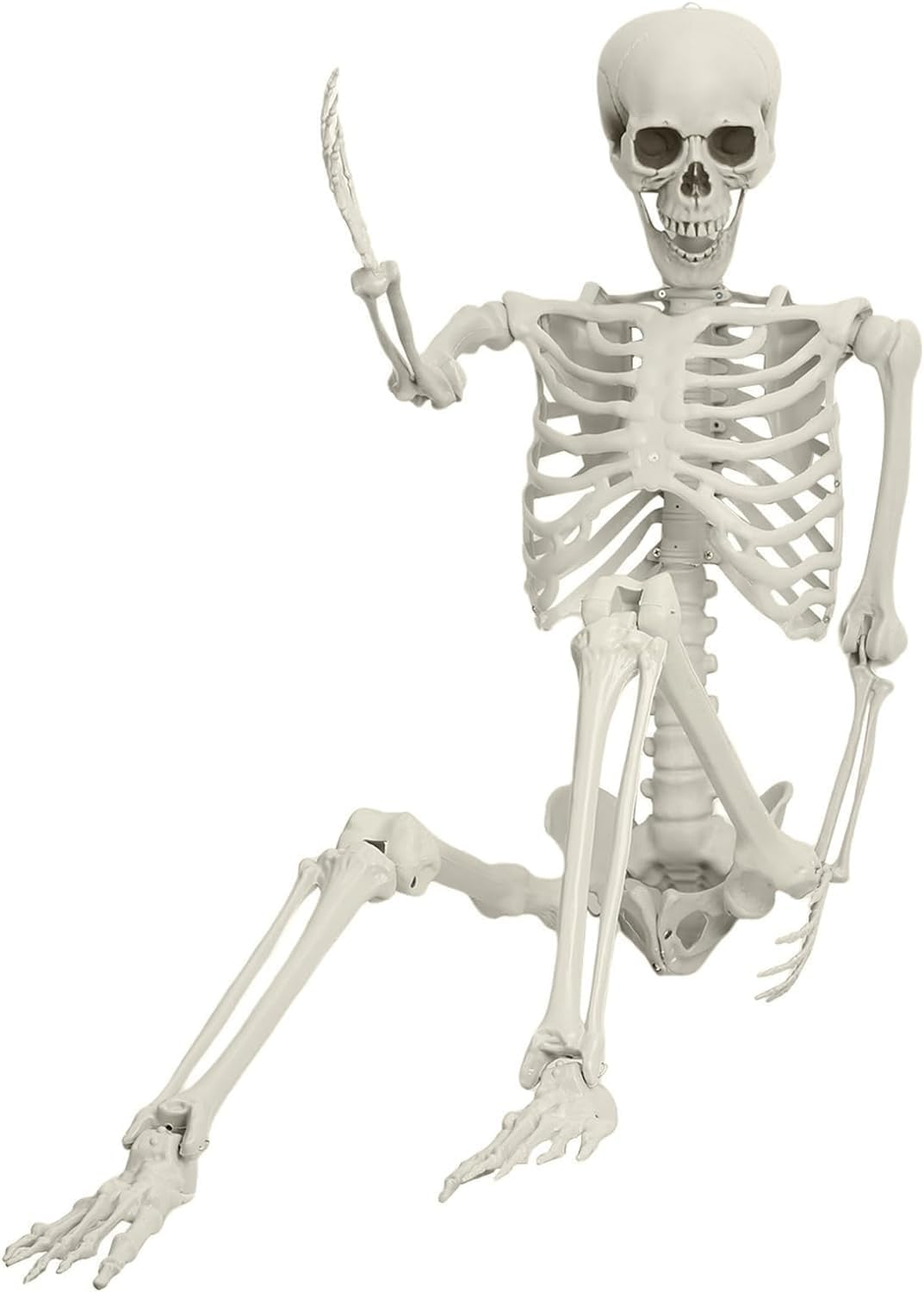 5.4ft Posable Plastic Skeleton N64526
