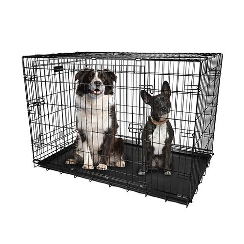 48 Inch Folding Metal Pet Cage with Tray M126610