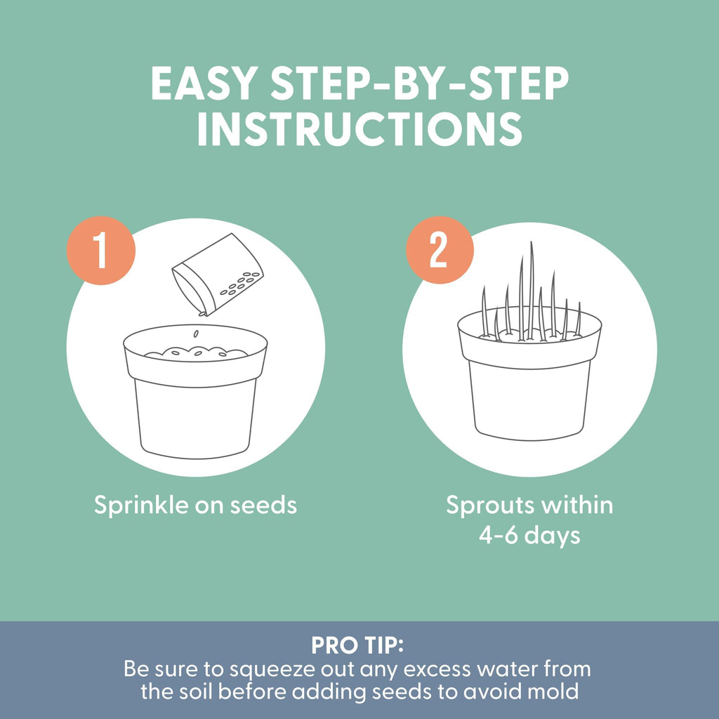 100% Organic Cat Grass Seed 8oz G919131