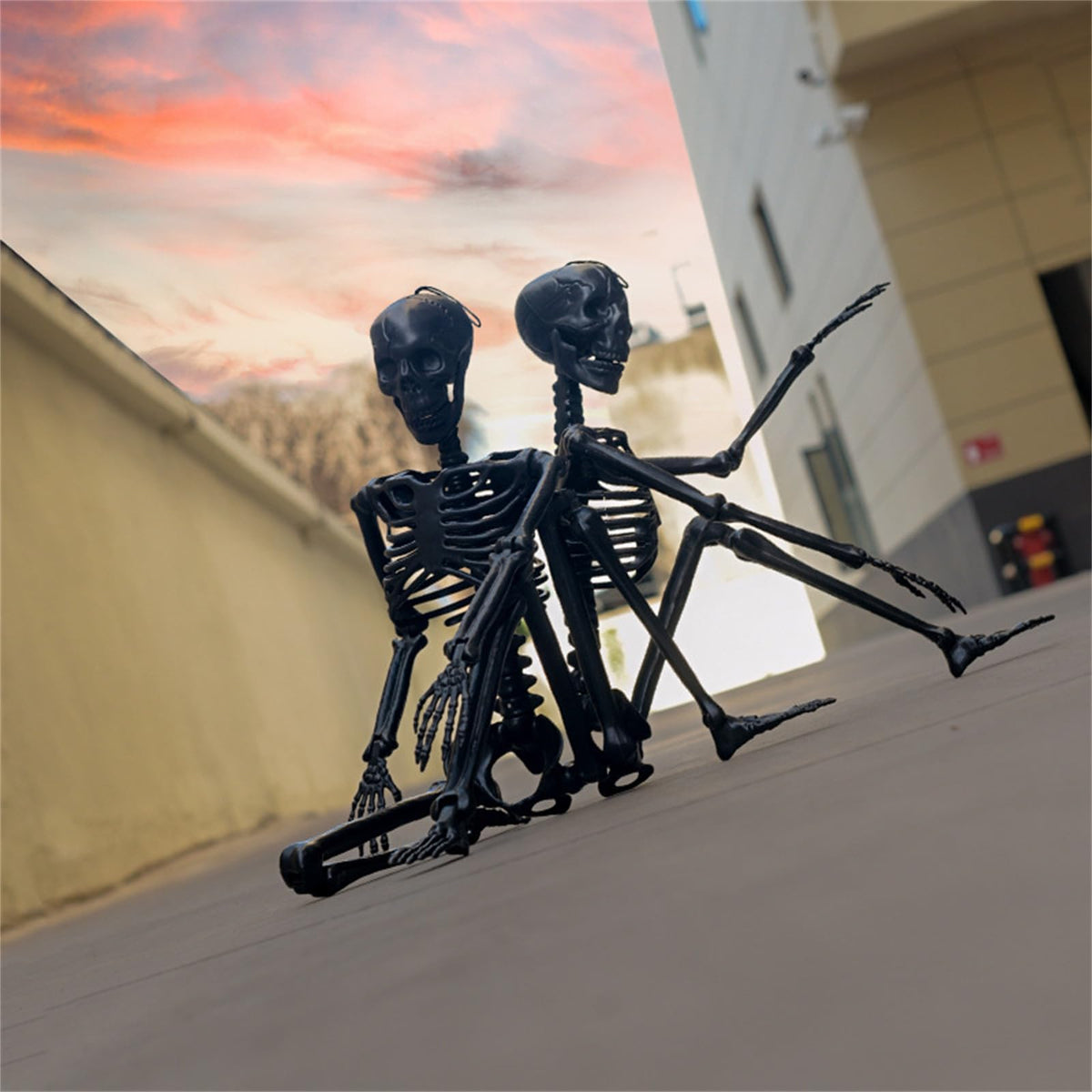 Halloween Human Skeleton Decorations, 35.4" Posable Full Body Skeleton Z90741