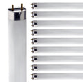 24 Inch T8 Fluorescent Tube Light Bulb 17W 2700K Warm White G13 Bi-Pin Base Pack of 10 V5392
