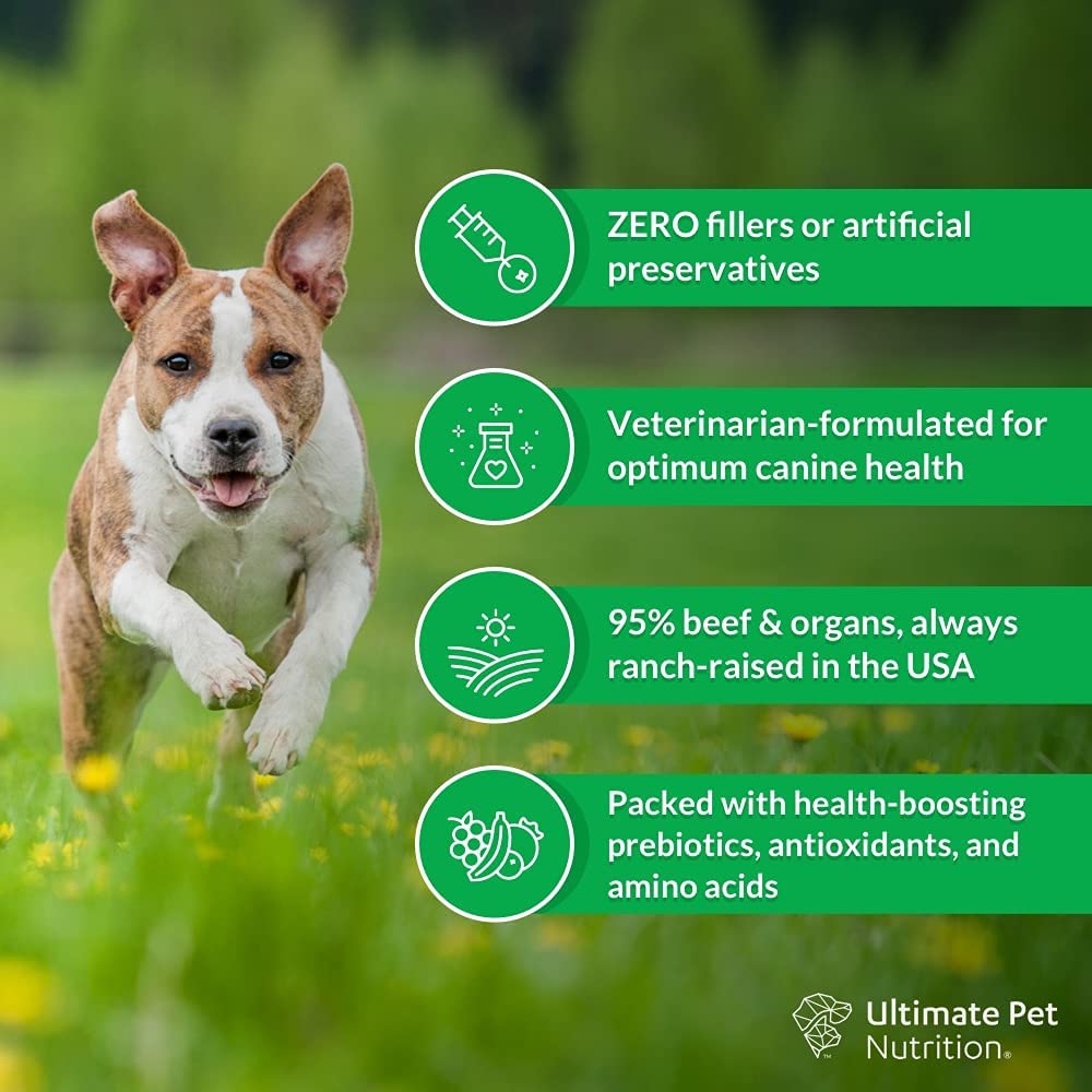 Freeze Dried Raw Dog Food with Antioxidants Prebiotics and Amino Acids, 1 Pound Beef A7377
