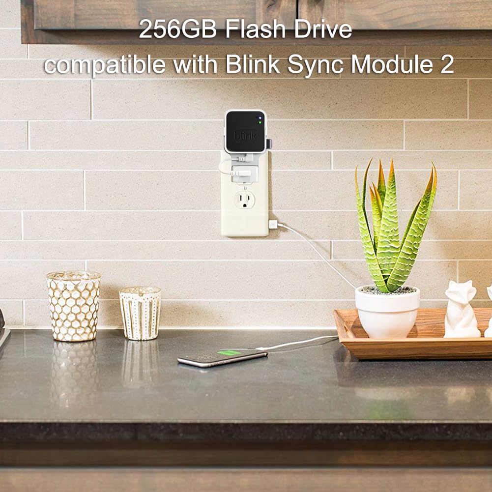 256GB USB Flash Drive with Outlet Wall Mount X7127