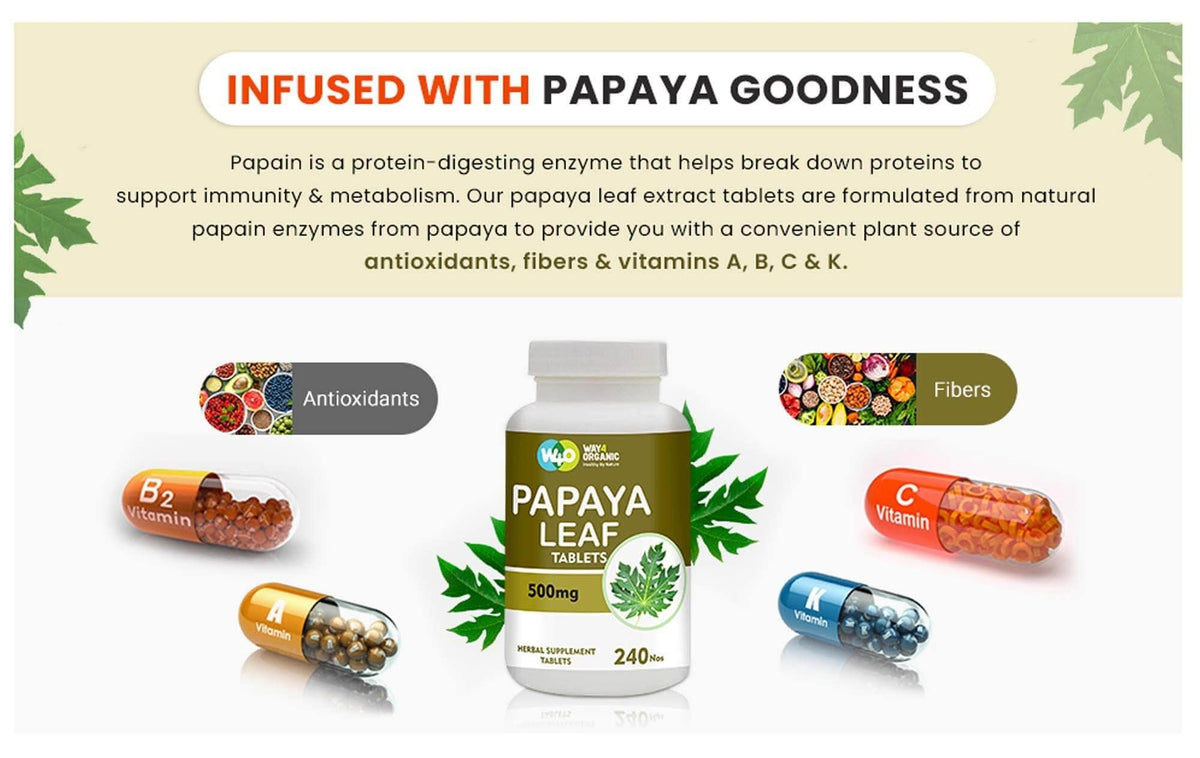 Papaya Leaf Extract 500 mg 240 Capsules D23475