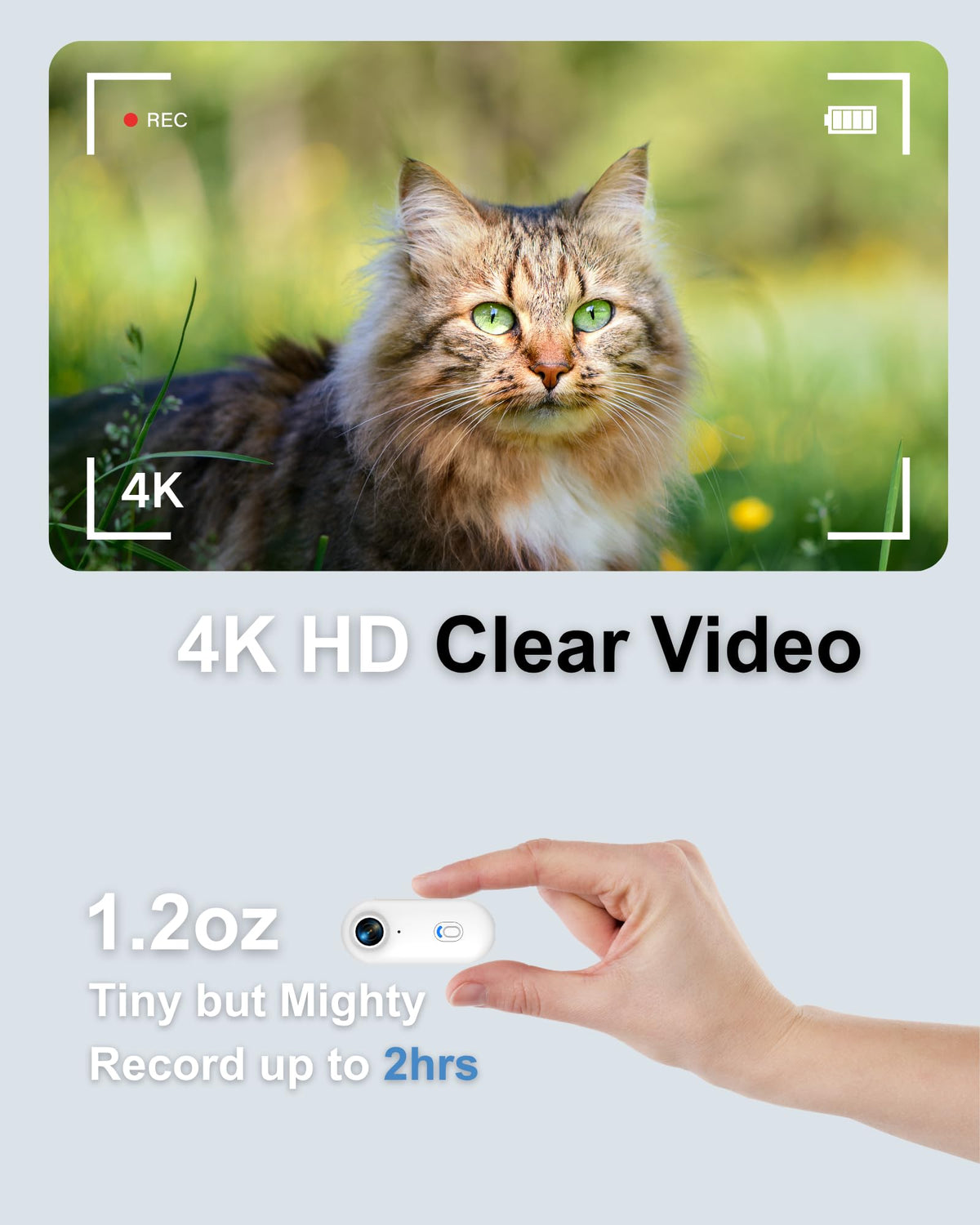 Cat Camera Collar with APP B53293