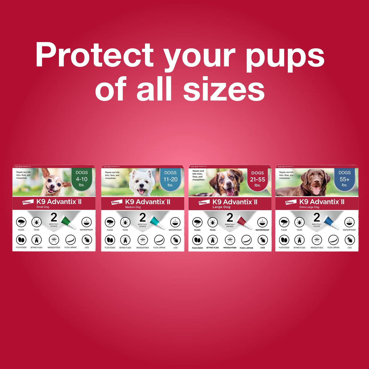 Flea, Tick & Mosquito Treatment & Prevention for Dogs 4-10 lbs Q76835