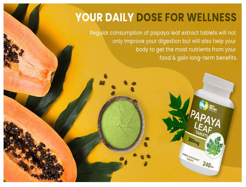 Papaya Leaf Extract 500 mg 240 Capsules D23475
