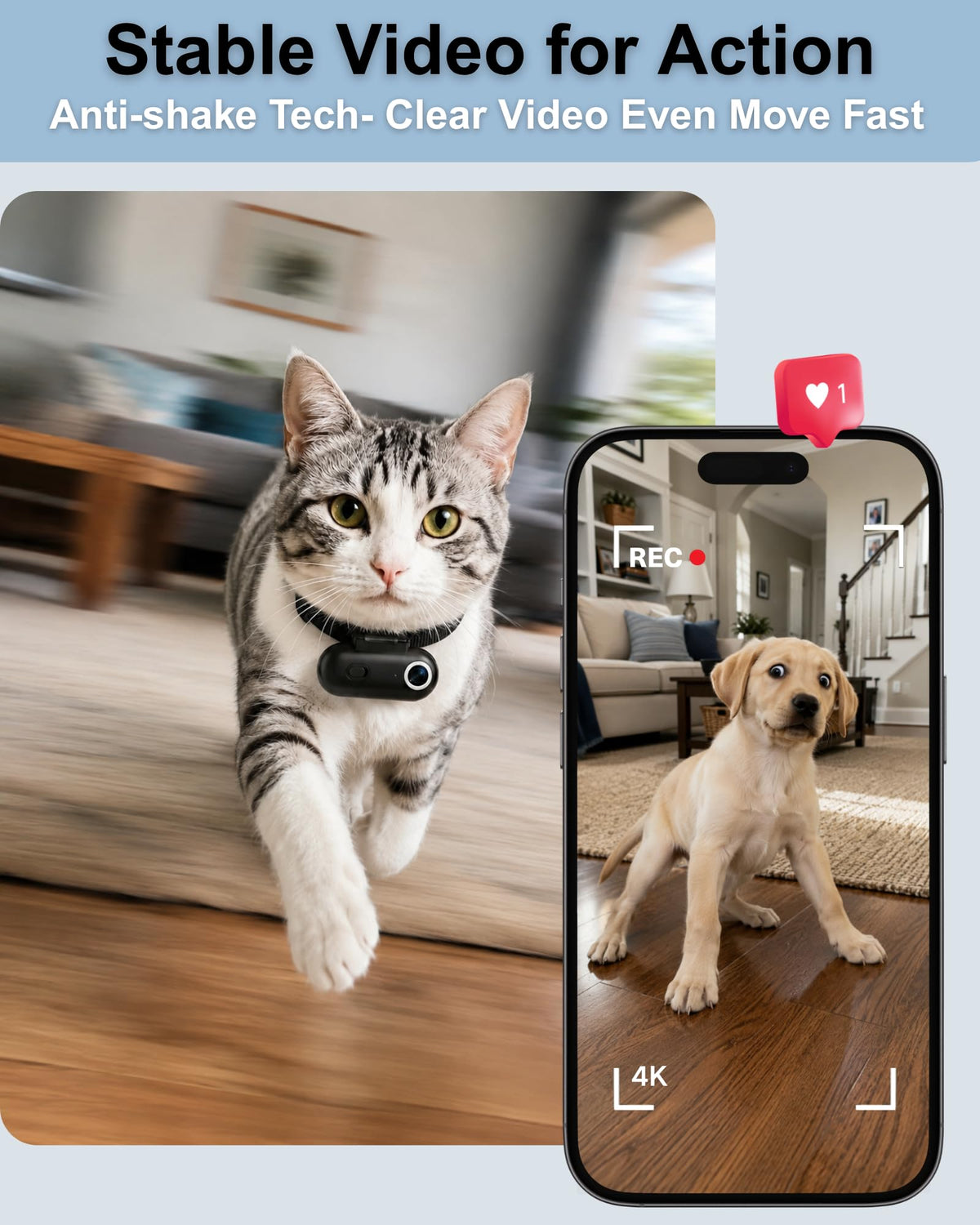 Cat Camera Collar with APP B53293