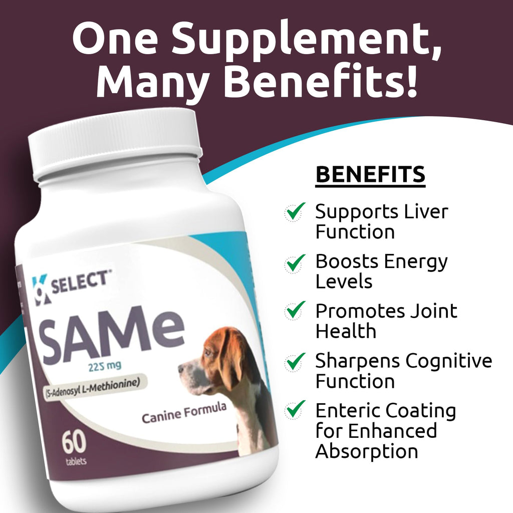 Dog Liver Supplement 60 Tablet 225mg W66480