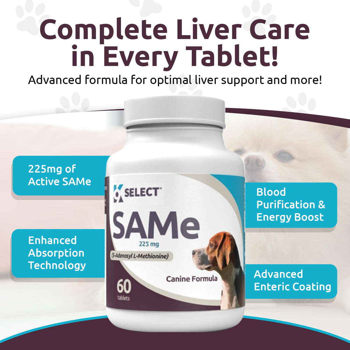 Dog Liver Supplement 60 Tablet 225mg W66480
