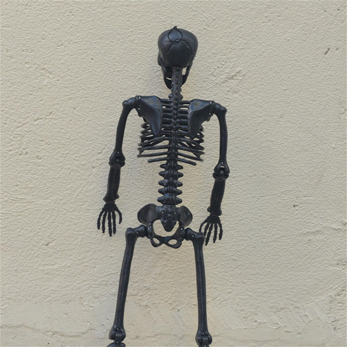 Halloween Human Skeleton Decorations, 35.4" Posable Full Body Skeleton Z90741