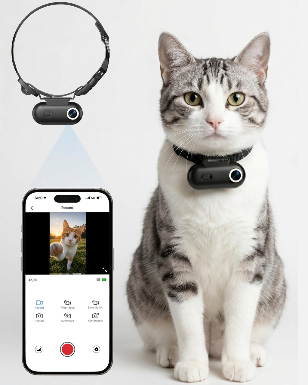 Cat Camera Collar with APP B53293