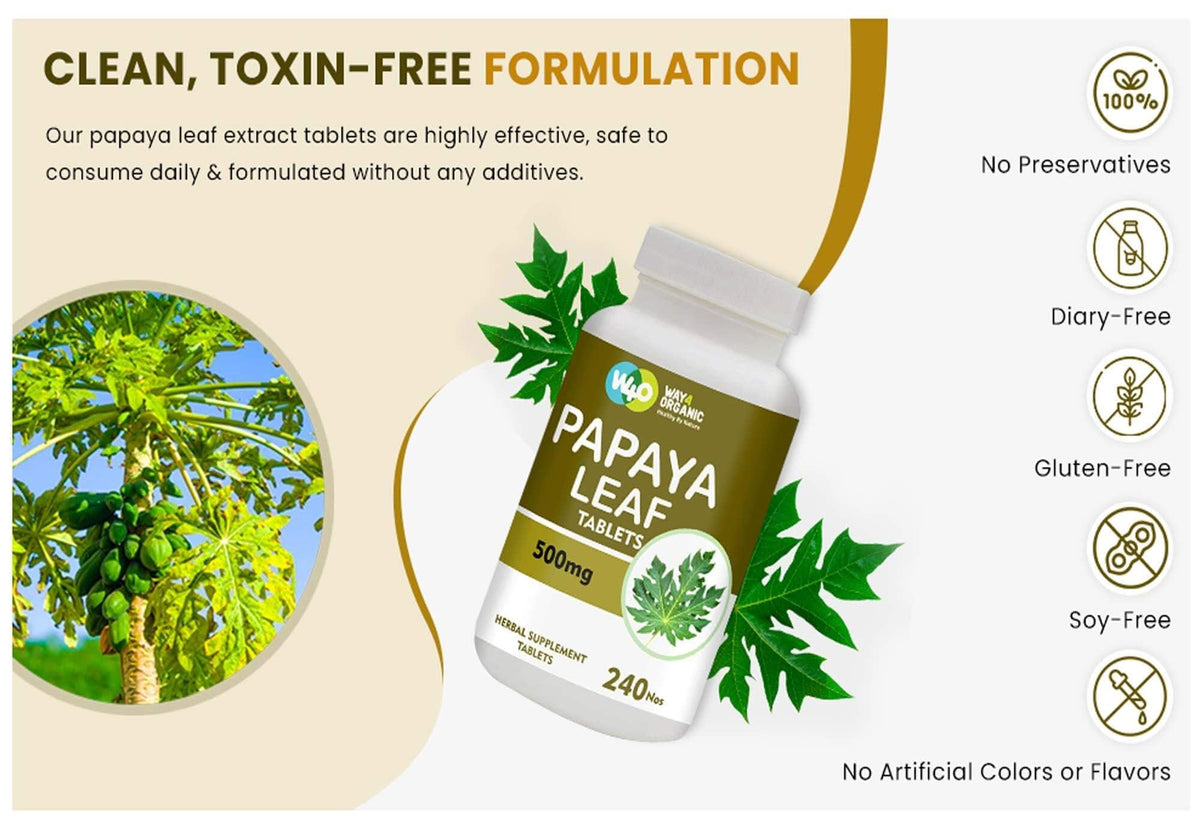 Papaya Leaf Extract 500 mg 240 Capsules D23475