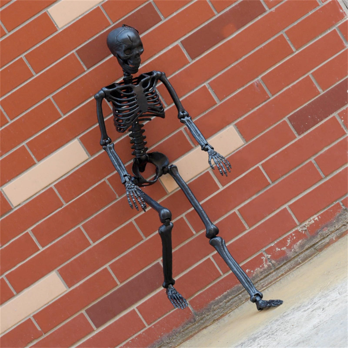 Halloween Human Skeleton Decorations, 35.4" Posable Full Body Skeleton Z90741