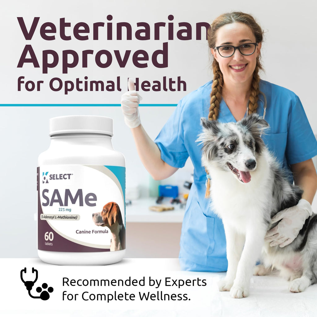 Dog Liver Supplement 60 Tablet 225mg W66480
