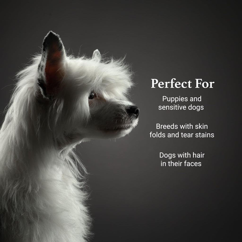 Tearless Facial Dog Shampoo V67232