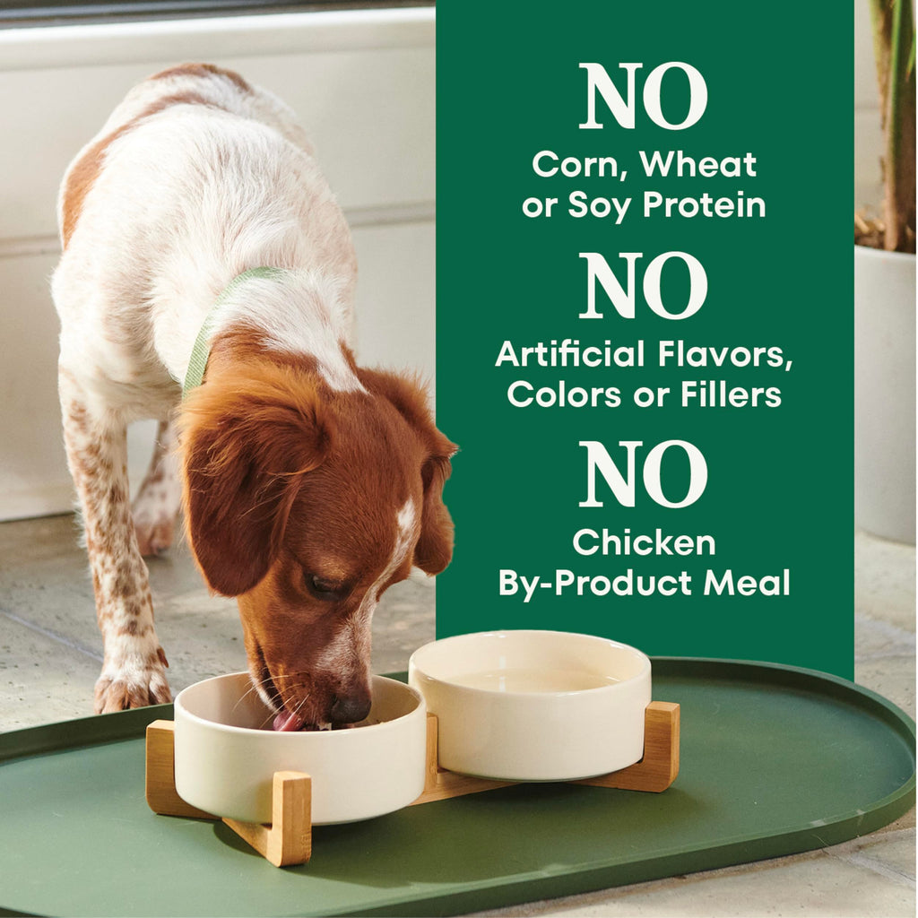 Chicken & Rice Dry Dog Food Z9267