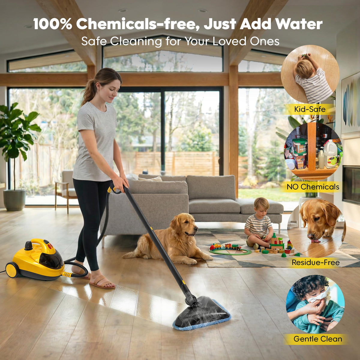 Heavy-Duty Steam Cleaner H7078