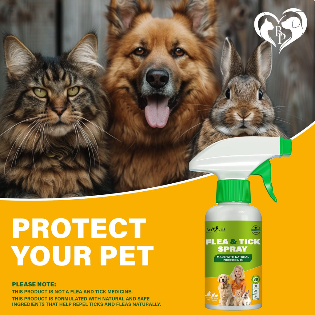 Natural Flea and Tick Home Spray N15824