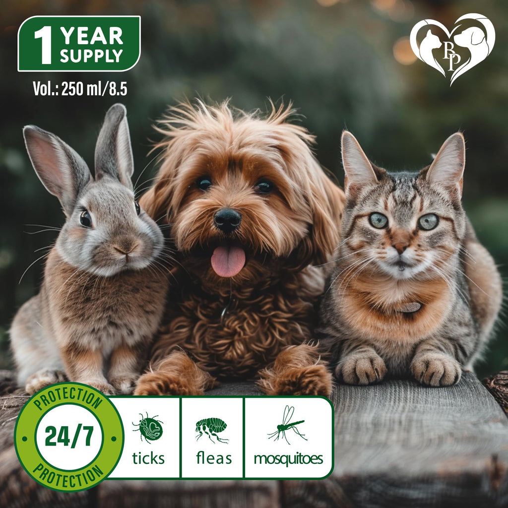 Natural Flea and Tick Home Spray N15824