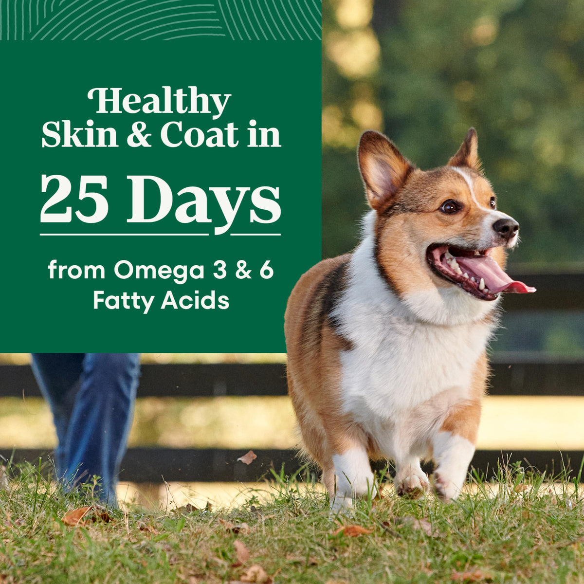 Chicken & Rice Dry Dog Food Z9267
