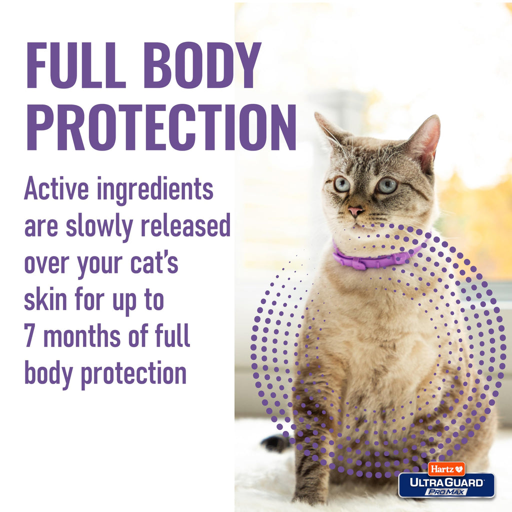 Flea & Tick Collar for Cats & Kittens 2 Pack H60219