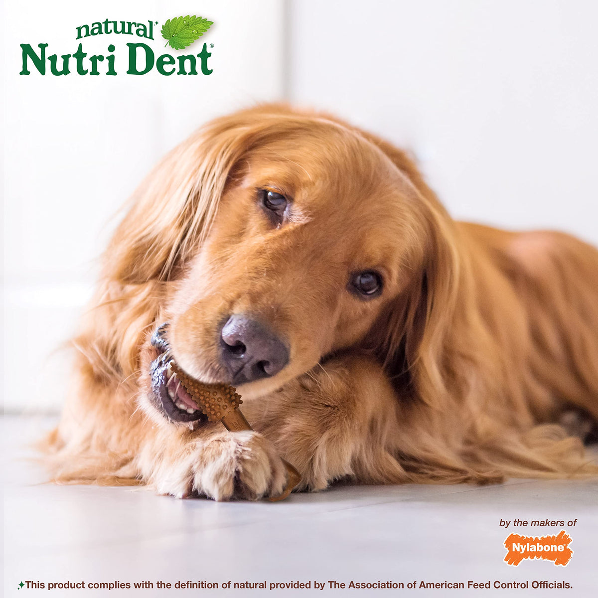 Large Filet Mignon Flavor Dog Dental Chews 20 Count G647