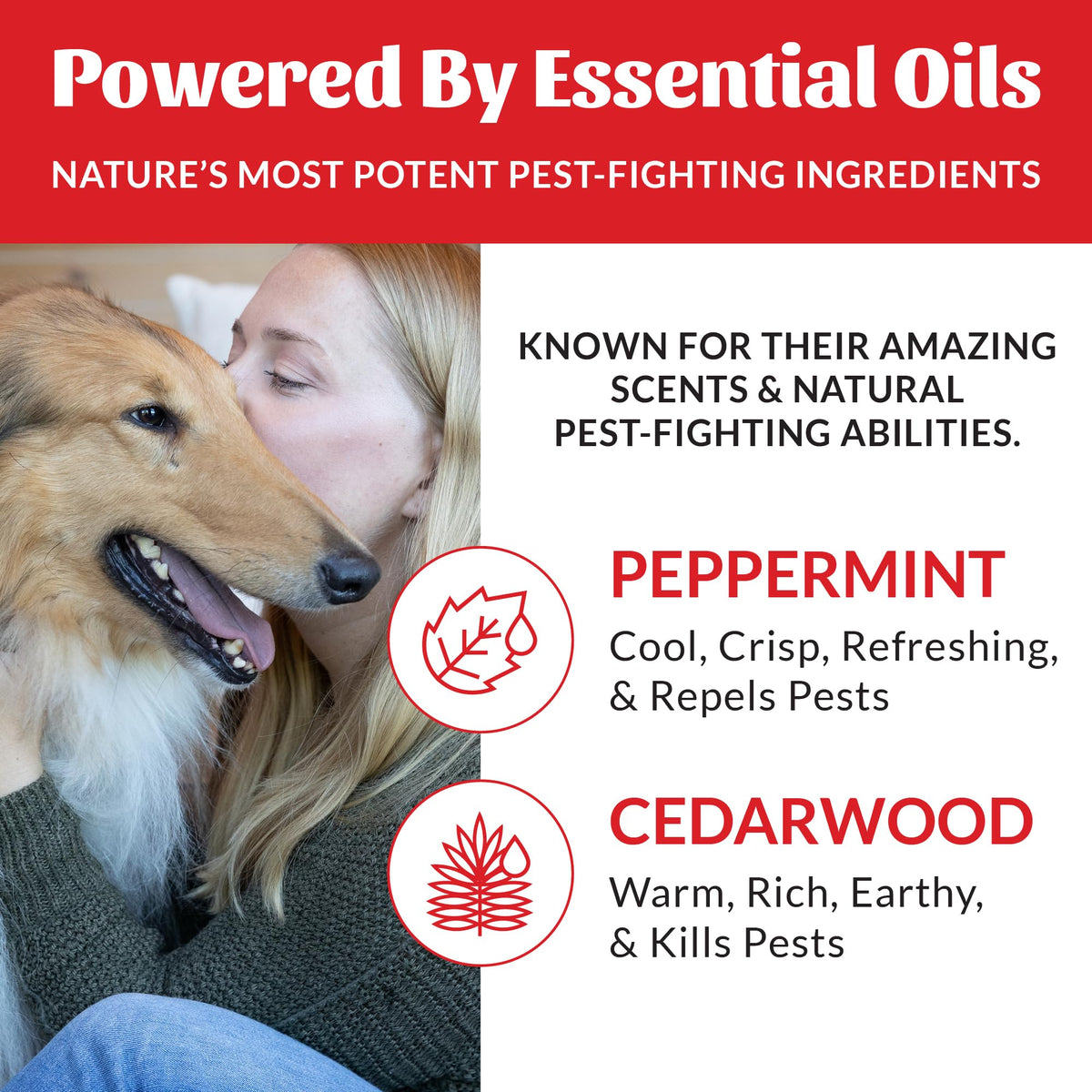 Natural Flea and Tick Dog Shampoo 16 oz L3383