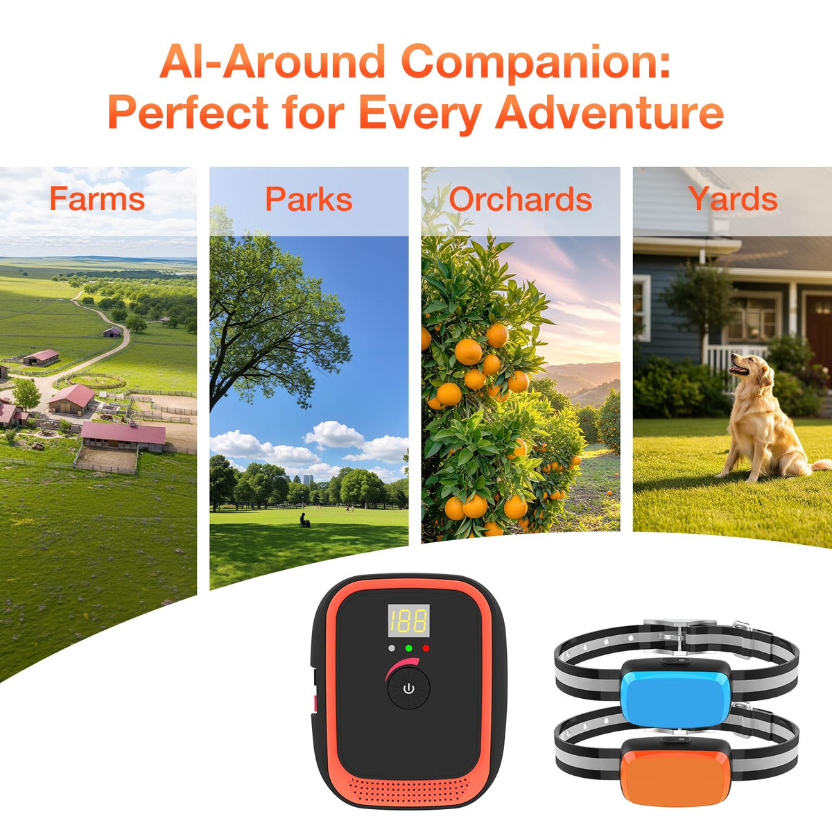 Electric Dog Fence C98404