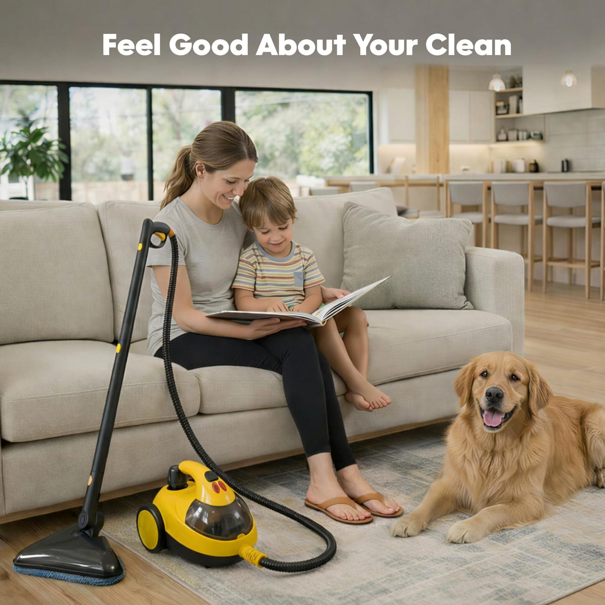 Heavy-Duty Steam Cleaner H7078