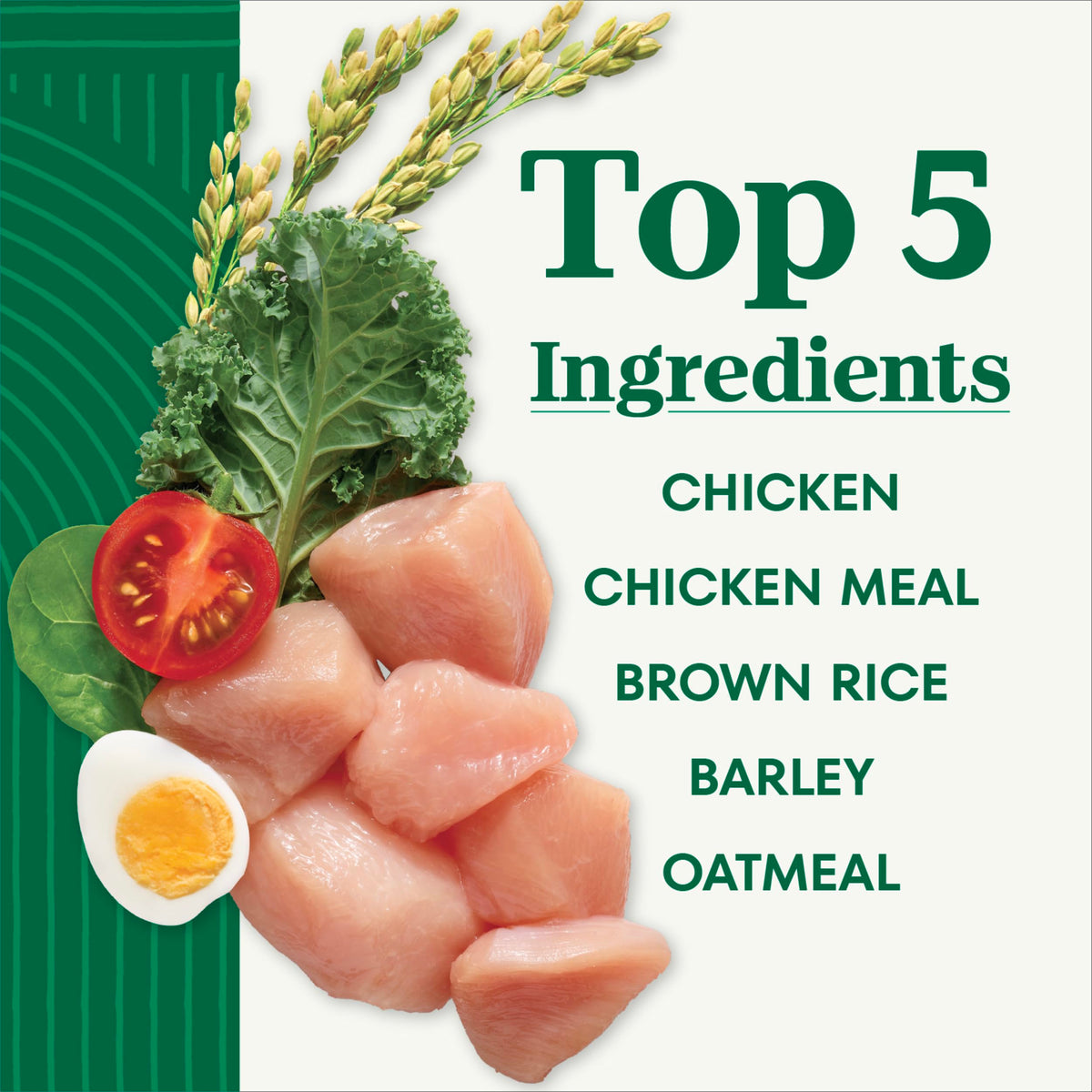 Chicken & Rice Dry Dog Food Z9267