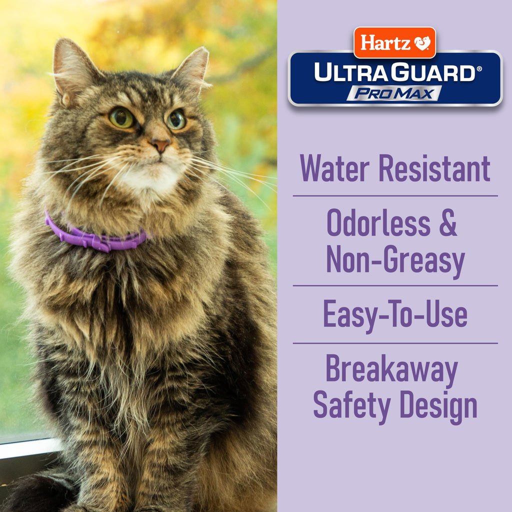 Flea & Tick Collar for Cats & Kittens 2 Pack H60219