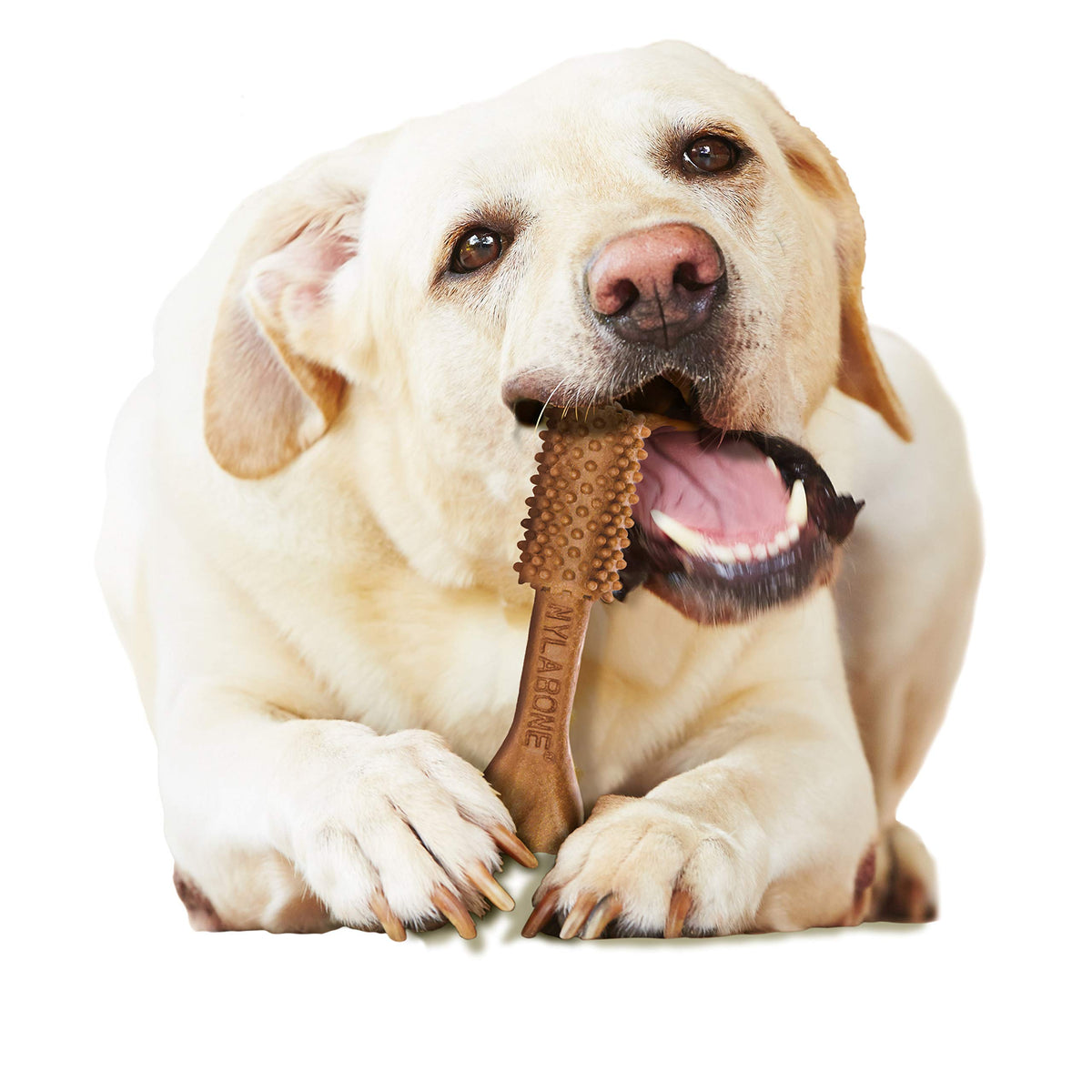 Large Filet Mignon Flavor Dog Dental Chews 20 Count G647