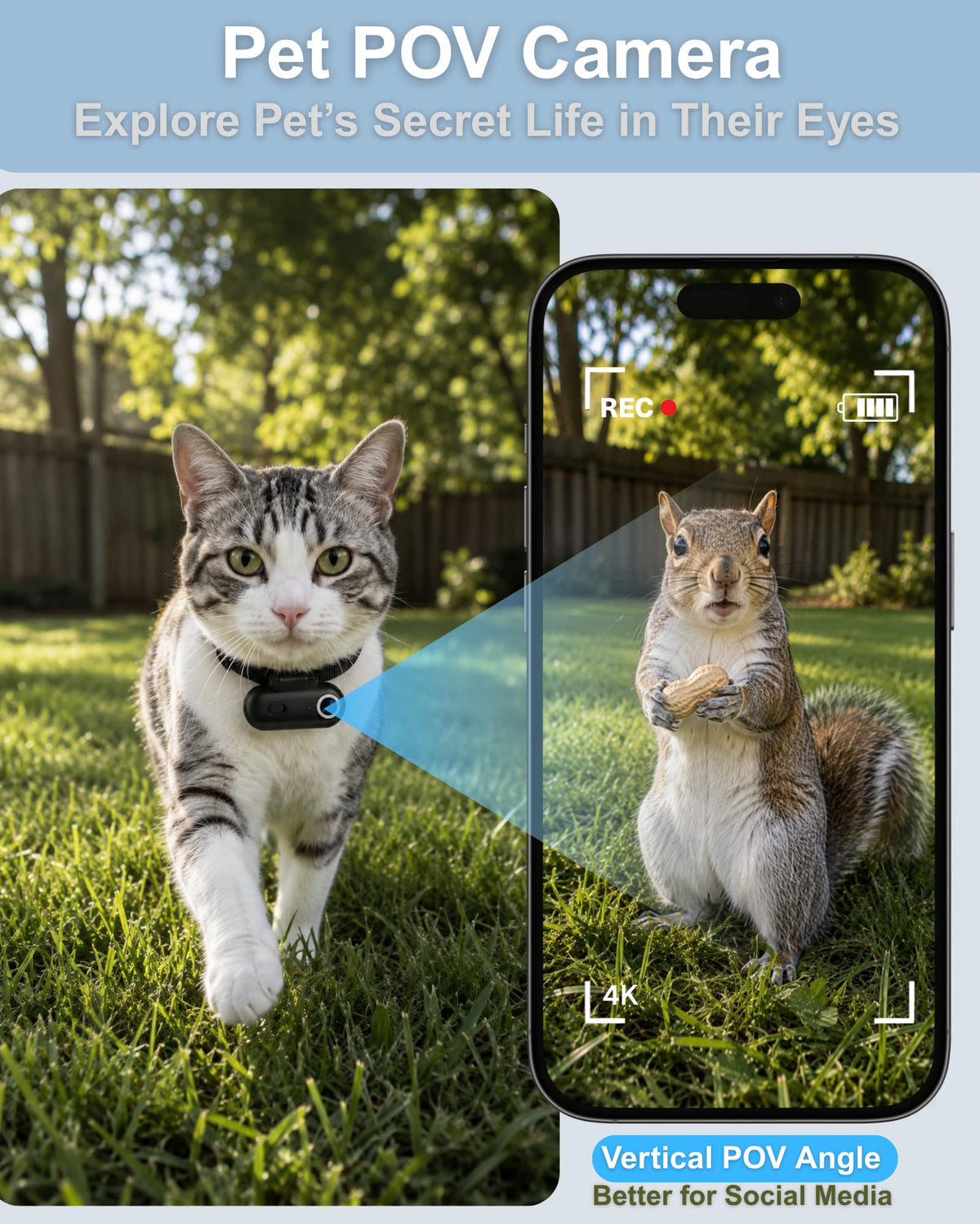 Cat Camera Collar with APP B53293