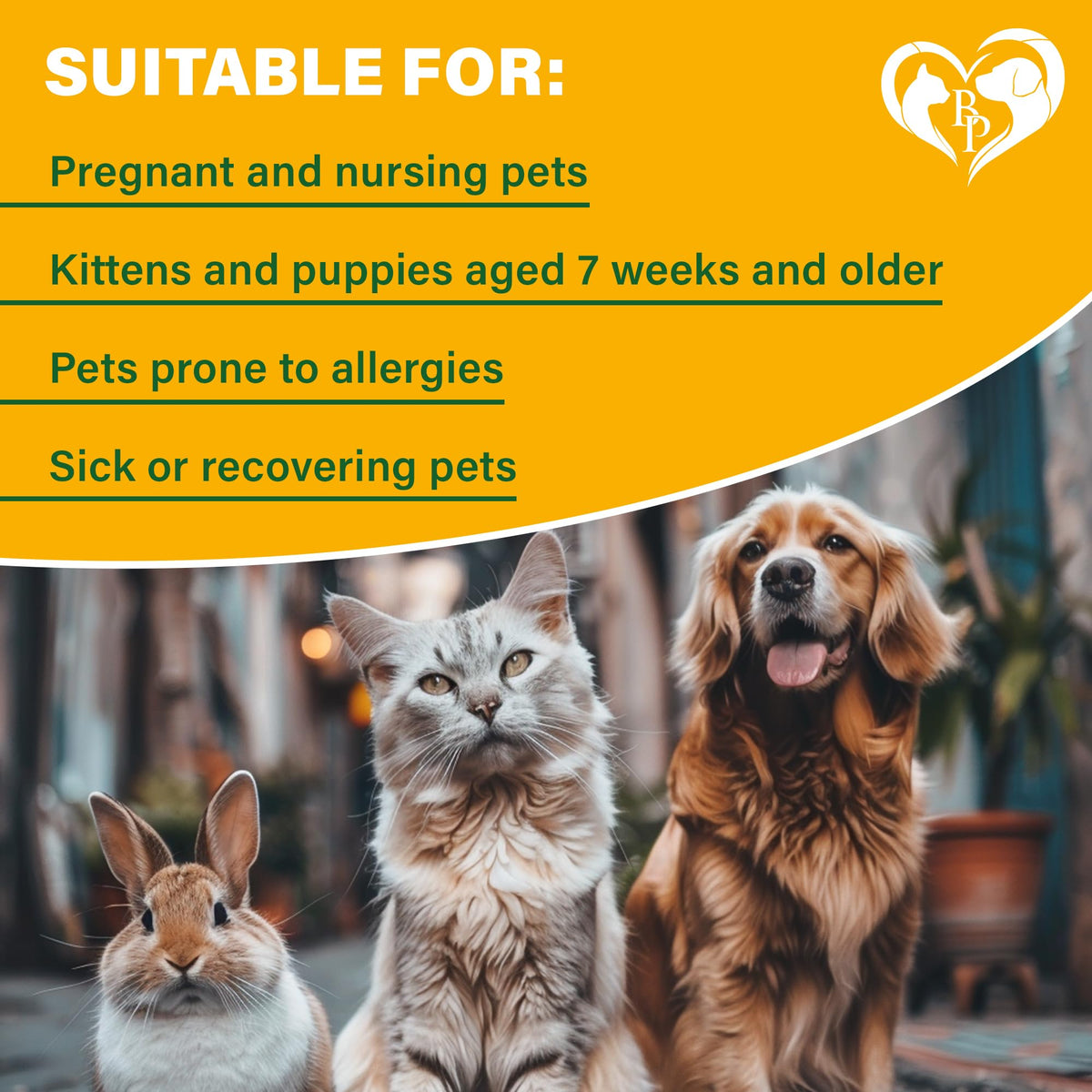 Natural Flea and Tick Home Spray N15824