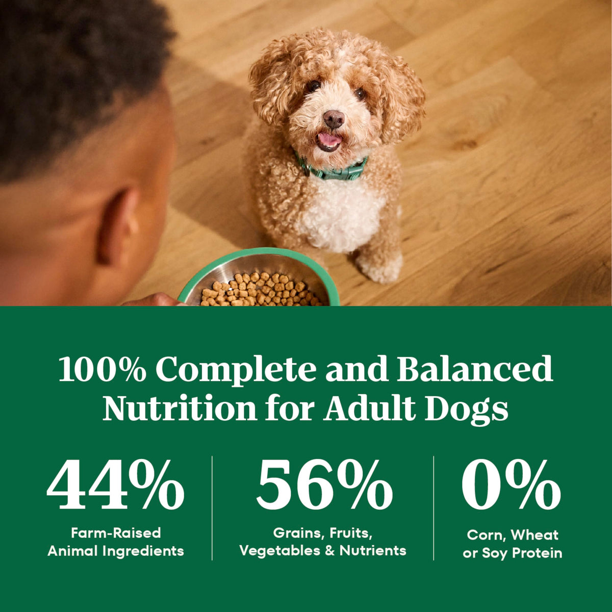 Chicken & Rice Dry Dog Food Z9267