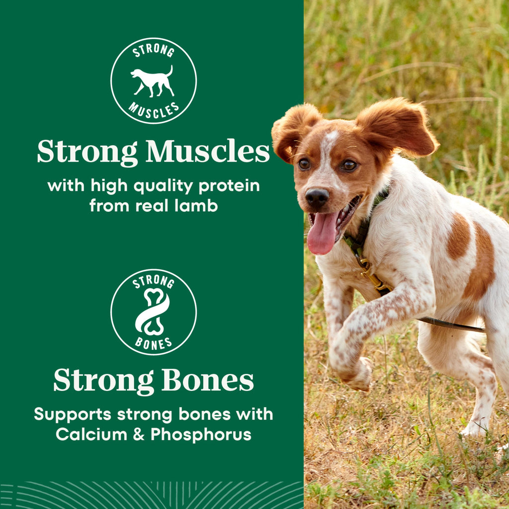 Chicken & Rice Dry Dog Food Z9267