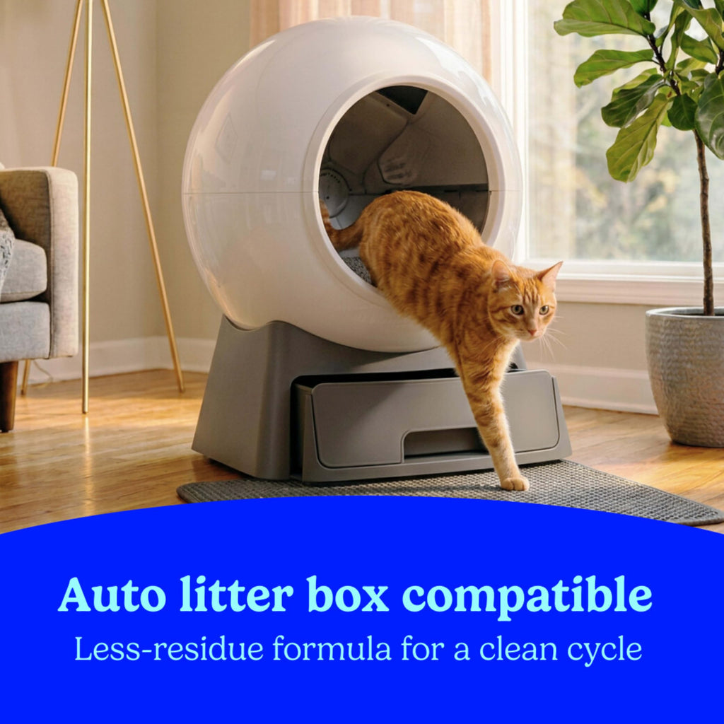 Clumping Cat Litter Multi-Cat Odor Control 14 lbs Pack of 2 I442253
