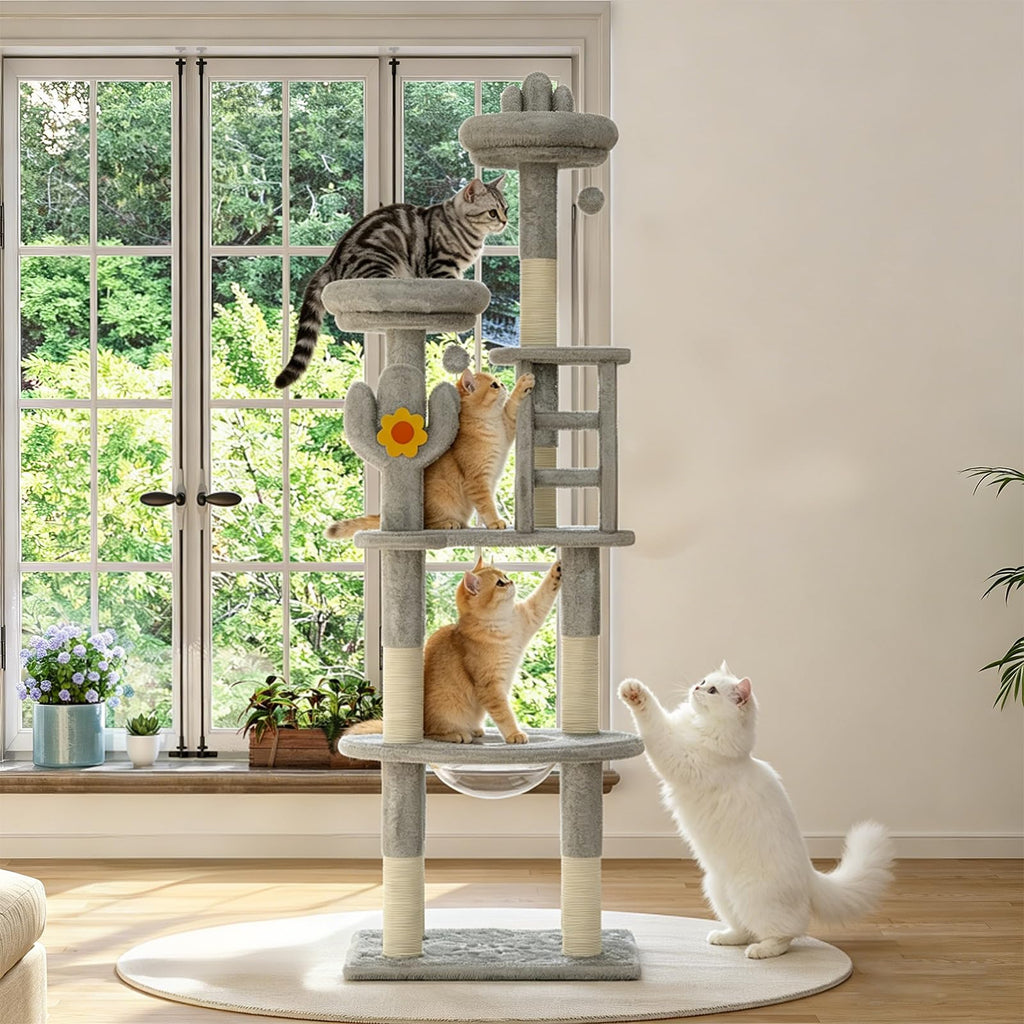 72in Gray Multi-Level Cat Tree with Transparent Capsule J72158