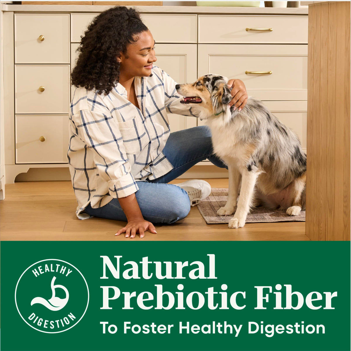 Chicken & Rice Dry Dog Food Z9267