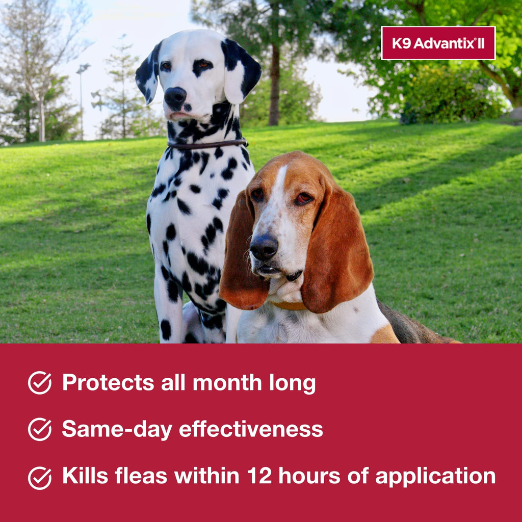 Flea, Tick & Mosquito Treatment & Prevention for Dogs 4-10 lbs Q76835