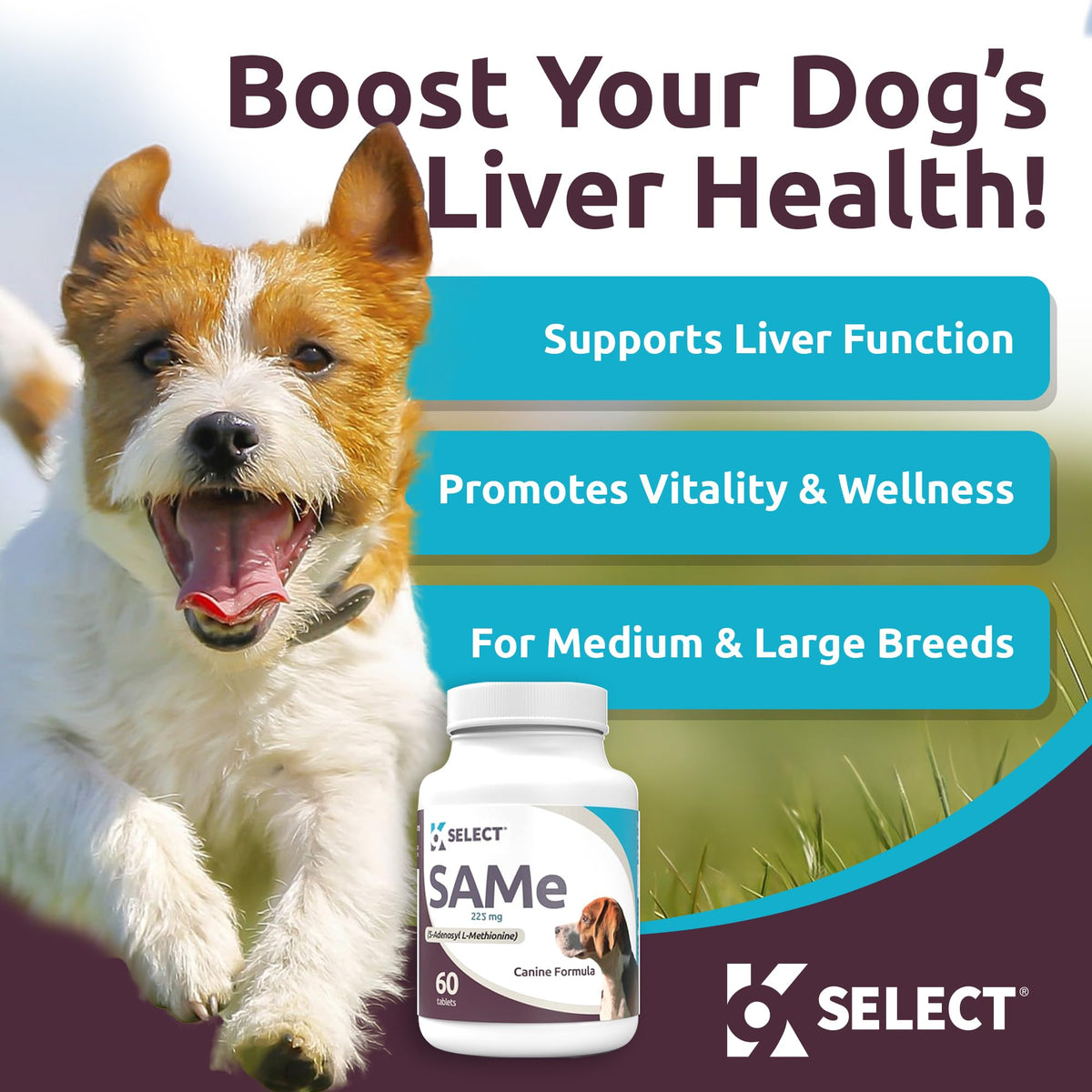 Dog Liver Supplement 60 Tablet 225mg W66480