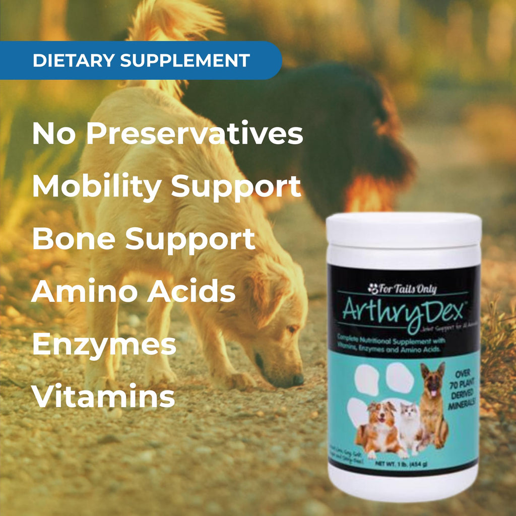 Pet Bone Support Supplement Powder 1 lb Canister D891898