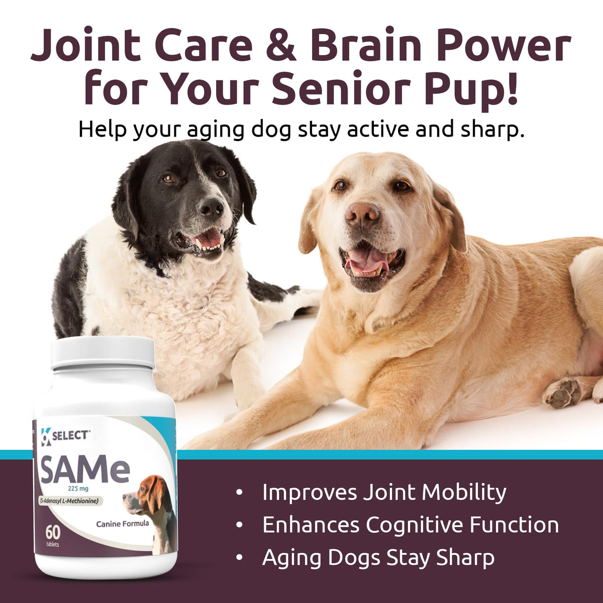 Dog Liver Supplement 60 Tablet 225mg W66480