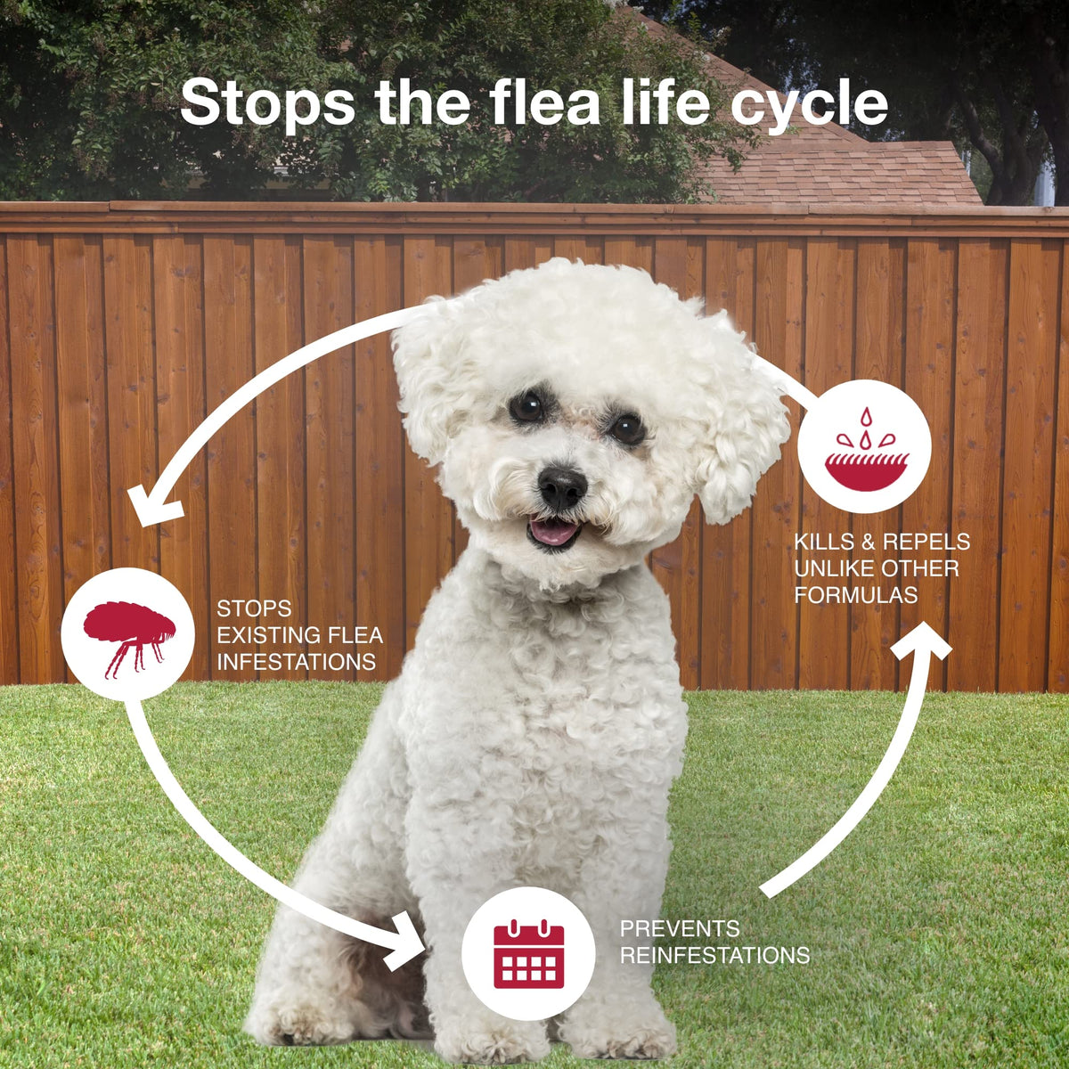 Flea, Tick & Mosquito Treatment & Prevention for Dogs 4-10 lbs Q76835